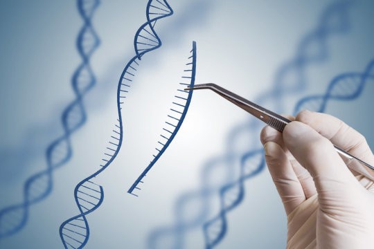 اپی ژنتیک و تغییر اپی ژنوم