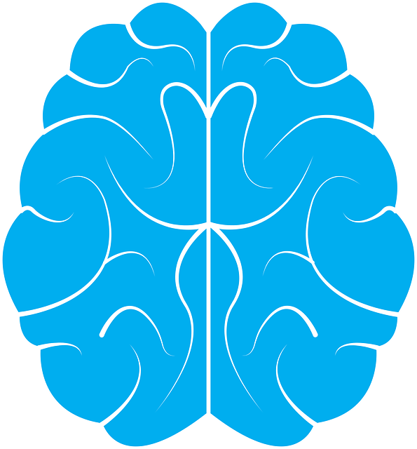 تفاوت بین مغز و ذهن